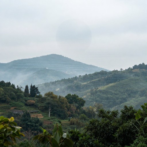 DOUBLE EXPOSURE - Steganographic