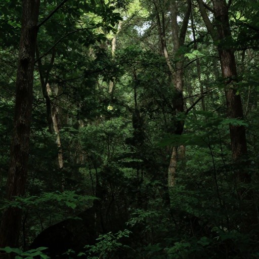 FOREST FACE - Negative Space