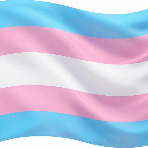 TRANS OVERLAY - Gradient Overlay