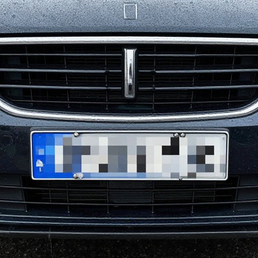 LICENSE PLATE - Pixelated