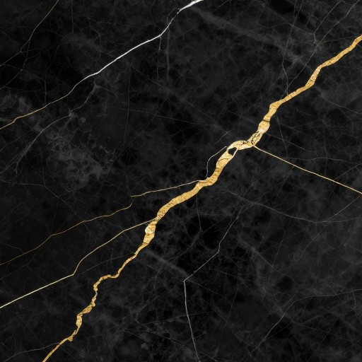 ELEGANT BLACK - Polished