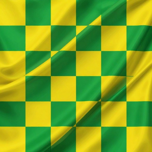 HIGH RES - Racing Flag