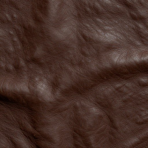 LEATHER SURFACE - Cinematic Detail