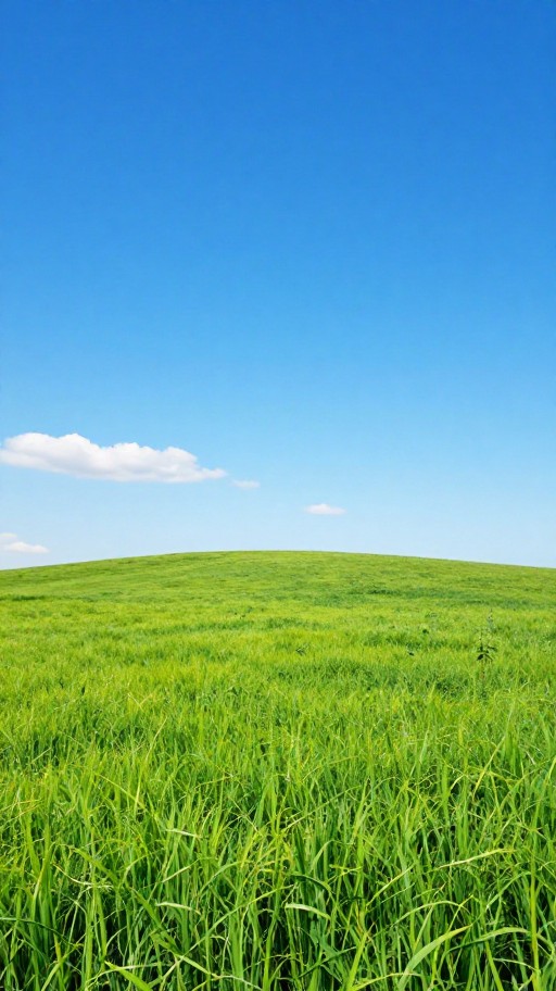 SOCIAL MEDIA - AI Extend