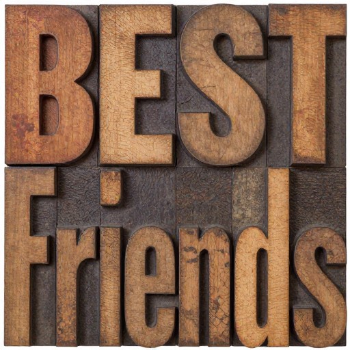 BEST FRIENDS - Rustic Wood