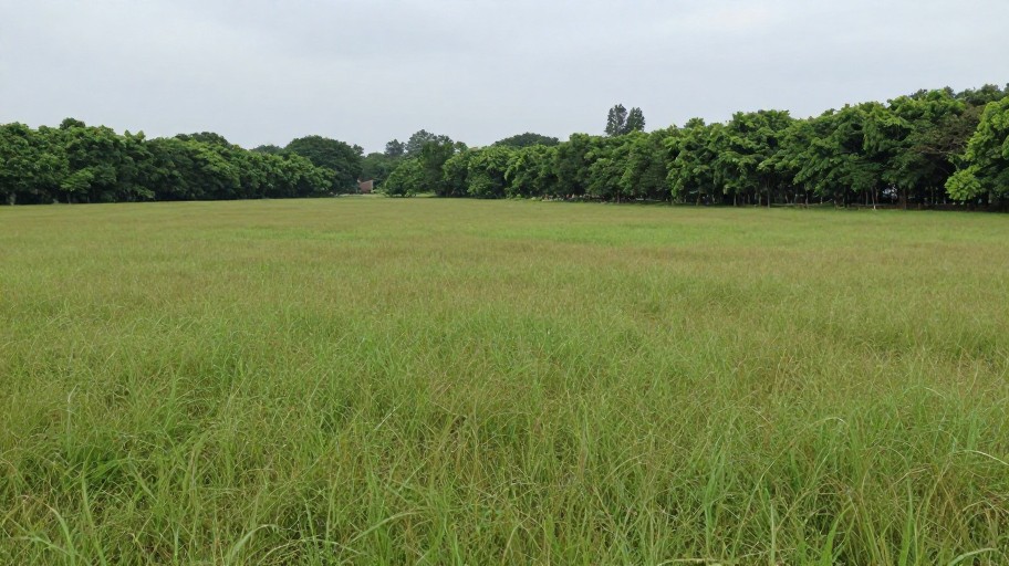 PANORAMIC - Smart Fill