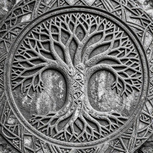 ELDER TREE - Runic Carving
