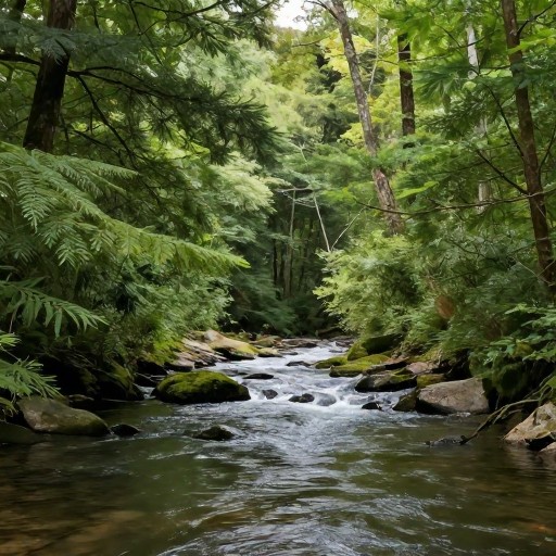 NATURE SCENE - Default