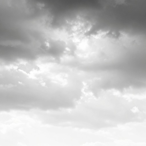 LANDSCAPE SCENE - High Key