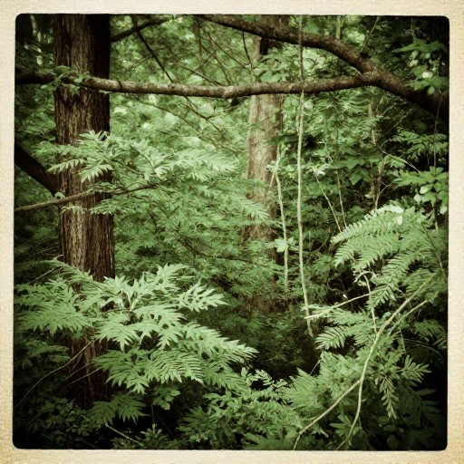 GREEN NATURE - Sepia Tone