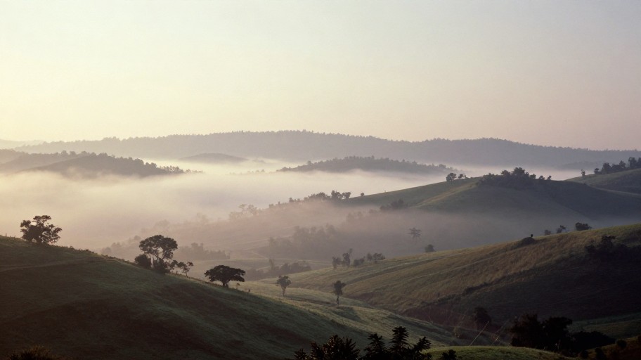 MISTY VALLEY - Vintage Photo