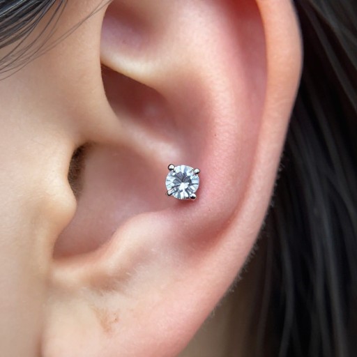 TRAGUS ACCENT - Jewelry Focus