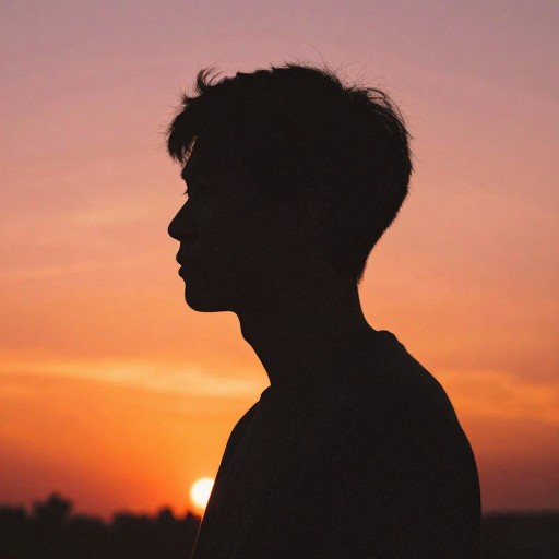 SUNSET SCENE - Textured