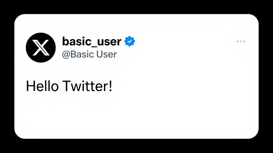 BASIC USER - Default