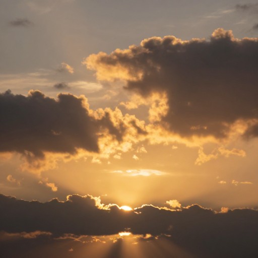 SUNSET SCENE - Default